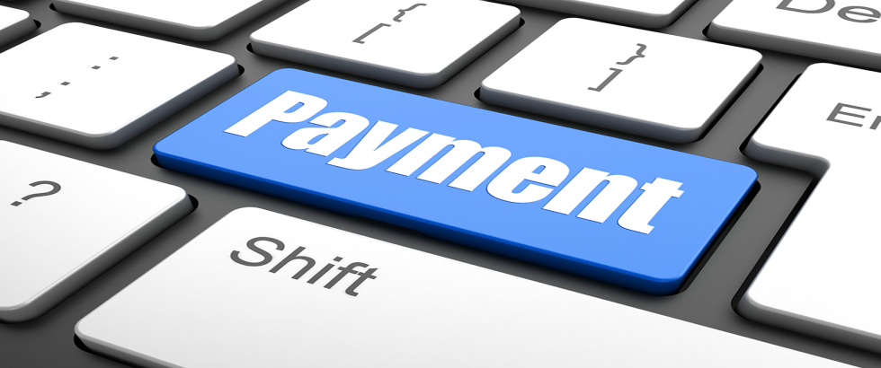 Payment Information Options